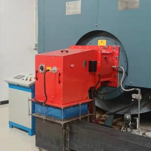 Factory Price Press 3G Dual Stage Light Oil Direct Start Burner for Industrial Boiler Combustion