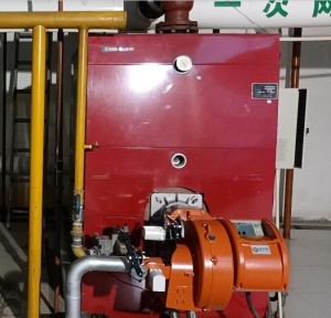 Reliable Oil Burner and Gas Burner for Industrial Natural Gas Burners for Industrial Boilers Gas Burners Light Oil Burner High Efficiency Burner