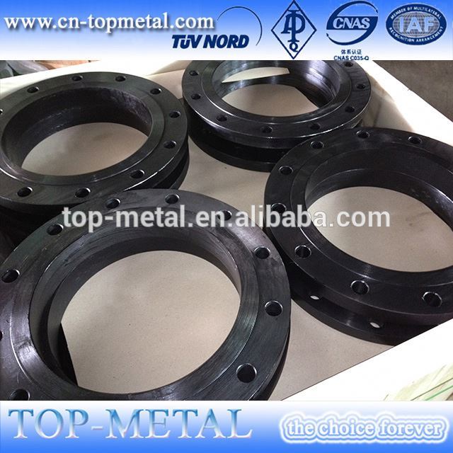 OEM Manufacturer Rhs Hollow Section Steel Pipe - forged ansi/asme /din/api/bs/en/uni steel flanges – TOP-METAL